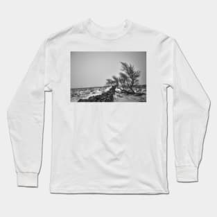 Windswept Lone Tree Long Sleeve T-Shirt